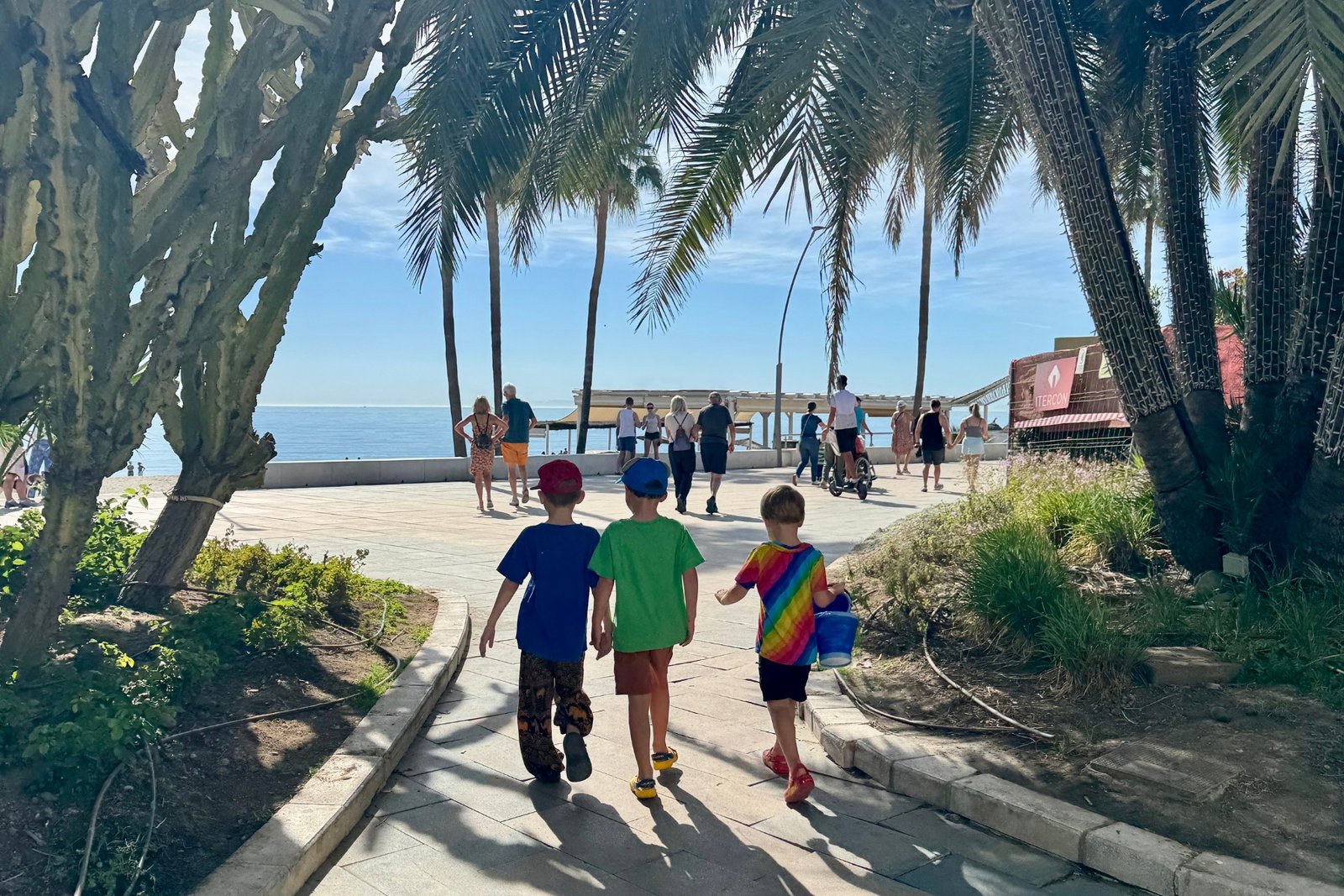 Pros & Cons (+ How To Find Them!)